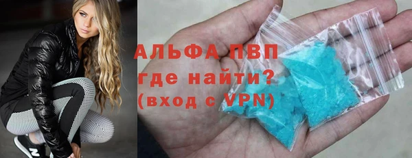 стаф Богородск