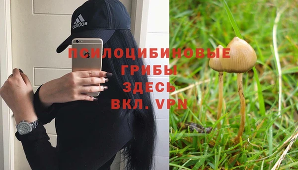 стаф Богородск