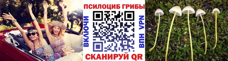 Галлюциногенные грибы Magic Shrooms  мориарти Telegram  Северская 